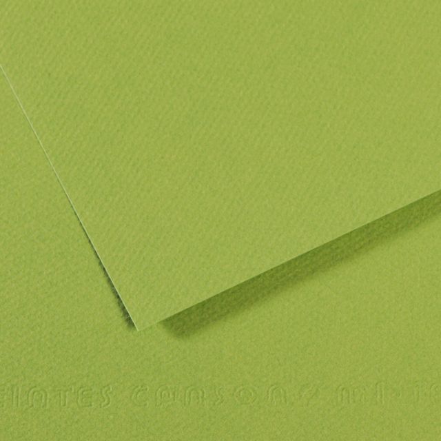 MI-TEINTES 475 DARK GREEN 19X25