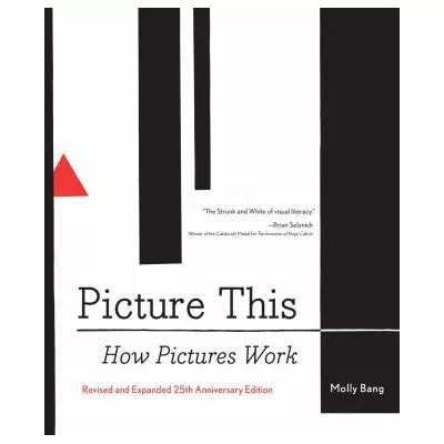 Picture This : How Pictures Work